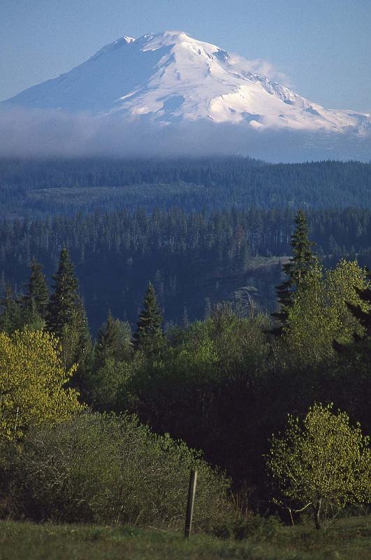 1995-05 White Salmon Jeanne and Steves Cabin 05.jpg